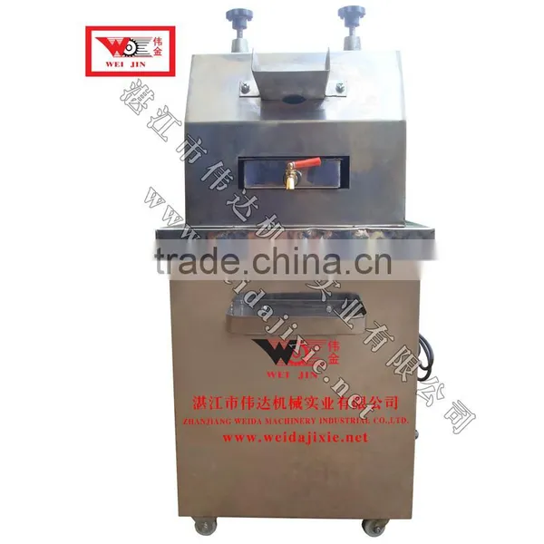 Carrot Juice Extractor