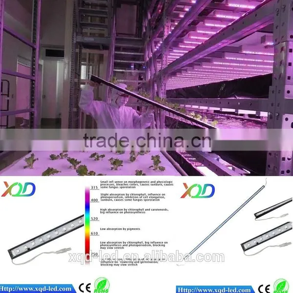 Shenzhen XQD 2015 Power Greehouse XQD Professional 12W Led Grow Light photo-4