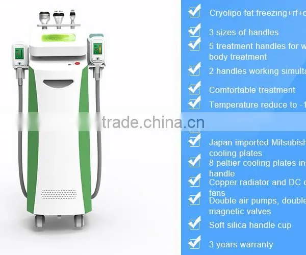 Criolipolisis Machine Freeze Fat Slimming Weight Loss Cryolipolise Fat Freeze Machine photo-6
