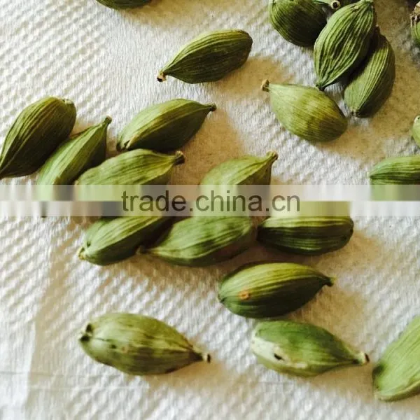 Cardamom photo-2