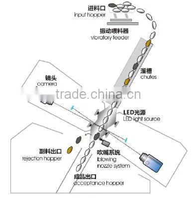 CE/SGS Certificate Products Trichromatic Rice Color Sorter photo-6
