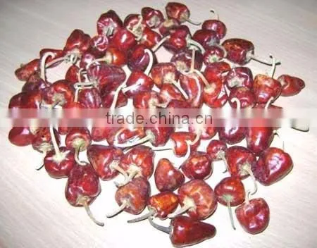 Bell Red Chilles photo-3