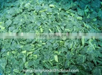 China High Quality BQF Frozen Spinach Block photo-3