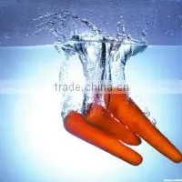 Carrot