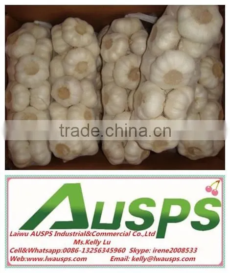Wholesale Natural Fresh White Garlic With Nice Service photo-5
