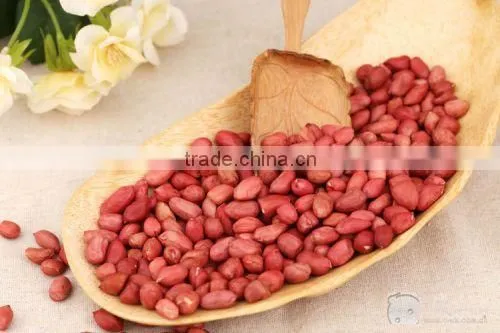 Agricultural Health Snack Food Dry Roasted Peanuts/red Skin Peanut Kernels Dry Roasted Peanuts/red Skin Peanut Kernels photo-4