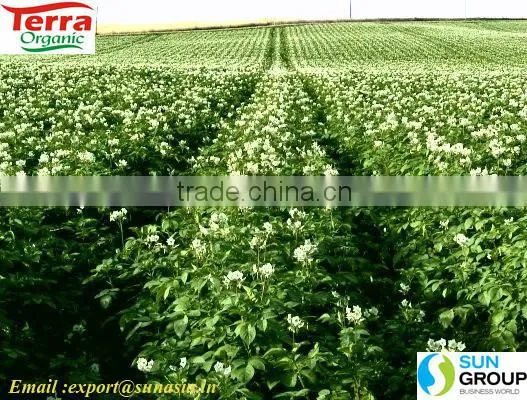 Karanja Seed Cake photo-4