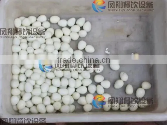 Industrial Boiled Quail Egg Peeler Peeling Processing Machine photo-6
