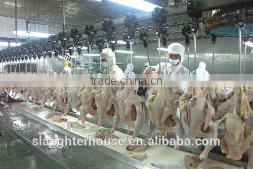 304 Stainless Steel Chick Used Plucking Machine for Slaughterhouse photo-3