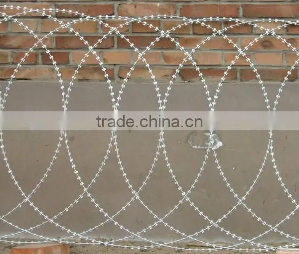 China Factory Razor Wire, Razor Wire Fencing, Razor Barbed Wire photo-2