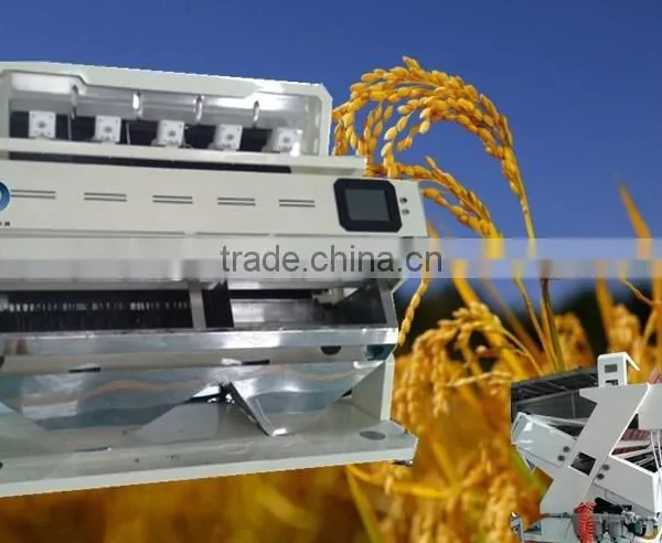Super Intelligent Rice Color Sorter Machine With Super Service and Maintennance photo-3