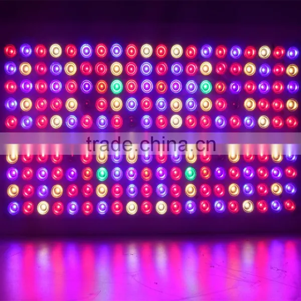 Double Lens Series 1000W LED Grow Light Full Spectrum for Indoor Plants Veg and Flower photo-4