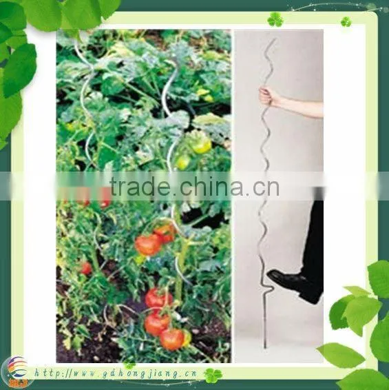 Tomato Plant Spiral Support Stakes photo-3
