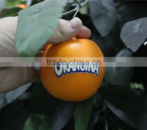 Artificial Bonsai Trees Artificial Orange Tree With Fruit Real Trunk Artificial Tree photo-2