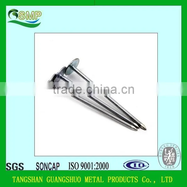 Umbrella Head Plain and Twisted Galvanized Roofing Nail photo-2