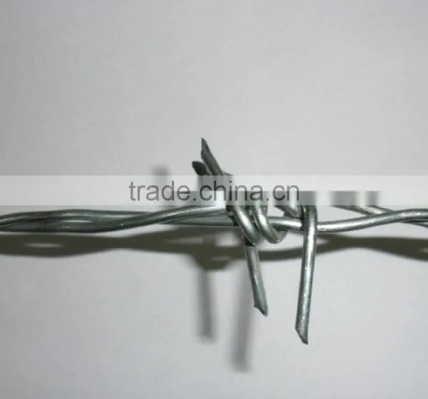 Cheap Price Electro/hot Dipped Galvanized Barbed Wire photo-2