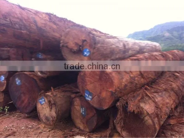 HOMALIUM CARYOPHYLLACEUM BENTH LOGS WITH THE BEST PRICE