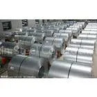 SGCC Cold Rolled Galvanized Steel Coil ASTM A599 - 92 With Zero Spangle