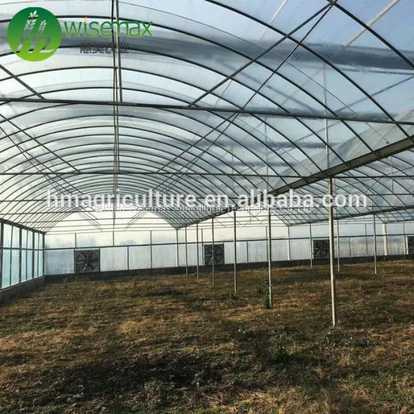 China Factory Plastic Film Covering Multi Span Tunnel Greenhouse photo-3