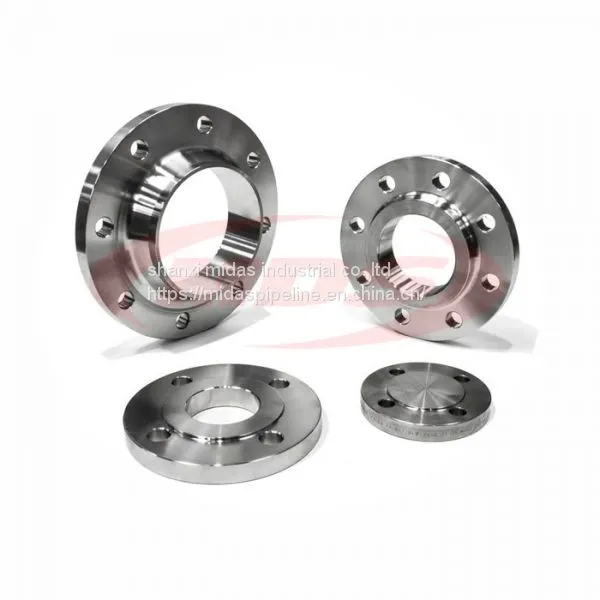 Made in China Stainless Steel Pipe Flange photo-4