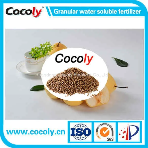 Cocoly High-Effency Bacteria Added NPK Water-soluble Fertilizer