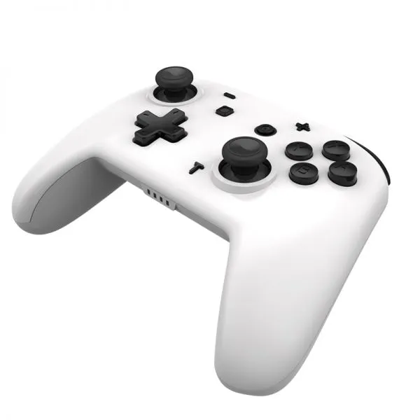 Частная модель игрового контроллера Nintendo Switch