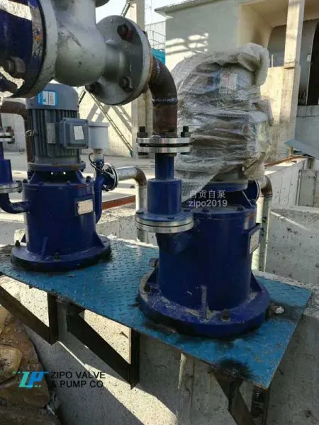 ZIPO Stainless Steel Unsealed Vertical Self-priming Pump Automatic Suction Pump Sewage Pump ZWFB Type photo-3