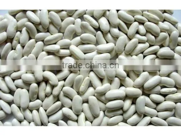 Quality Kidney Beans,Red and Black Kidney Beans,white Kidney Beans