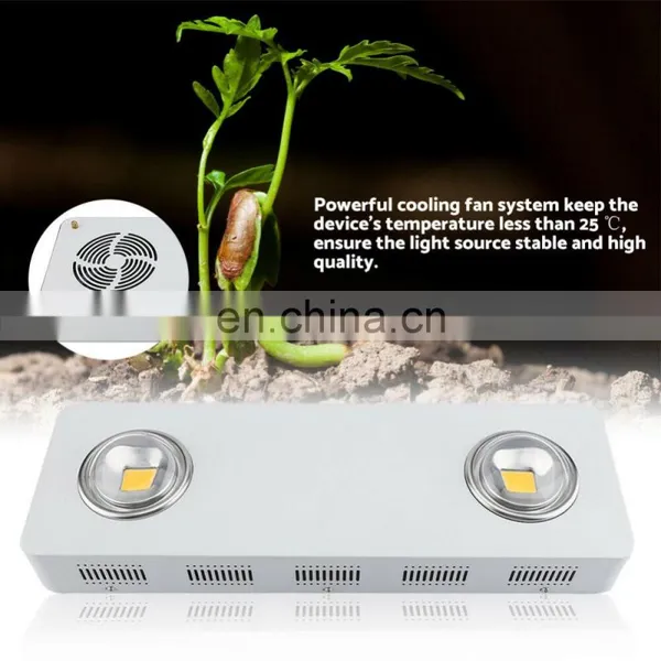CXB3590 COB LED Grow Light 200W Full Spectrum 3500k Tent Greenhouses Hydroponics Lighting photo-4