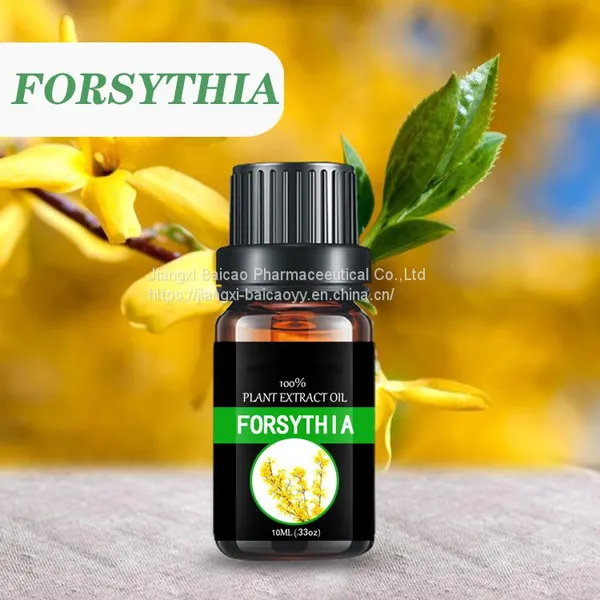 Forsythia Oil Fragrance Oil Aromatherapy Essential Oil for Health Care and Skin Care