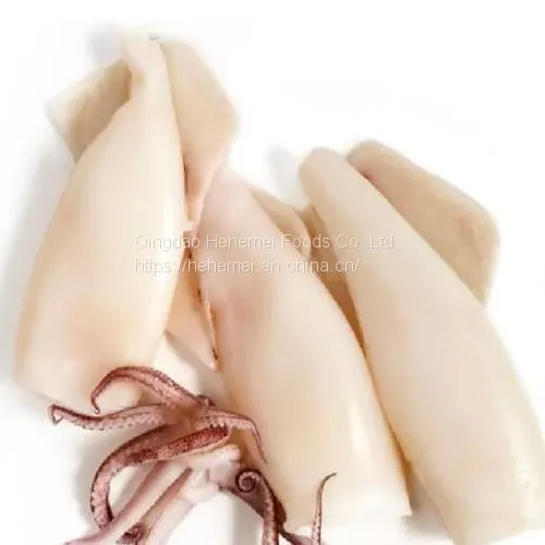 Factory Direct Price High Quality Frozen Squid Tube & Rings Frozen Seafood photo-2