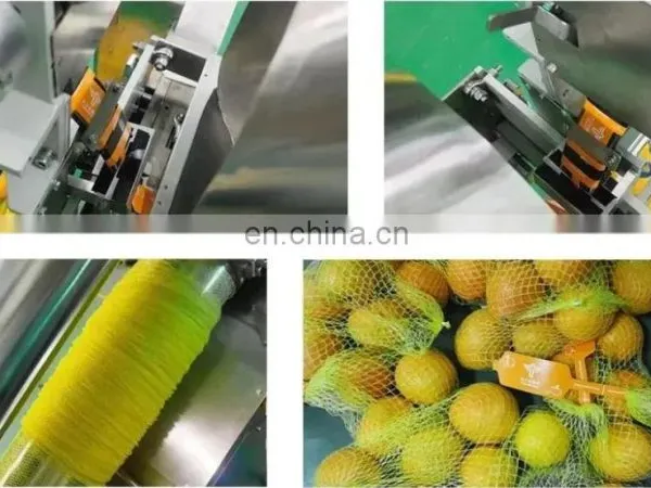 China Factory Net Bag Packing Machine Garlic Packing Machine Pepper Packing Machine photo-4