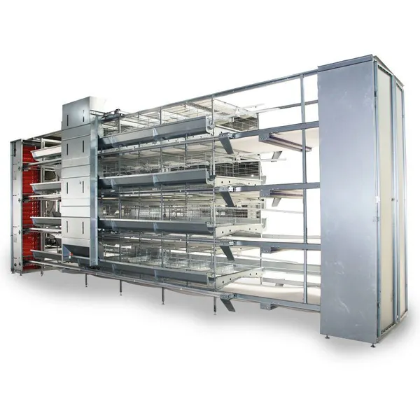 Layer Cages Broiler Cages Poultry Farming Equipment photo-5