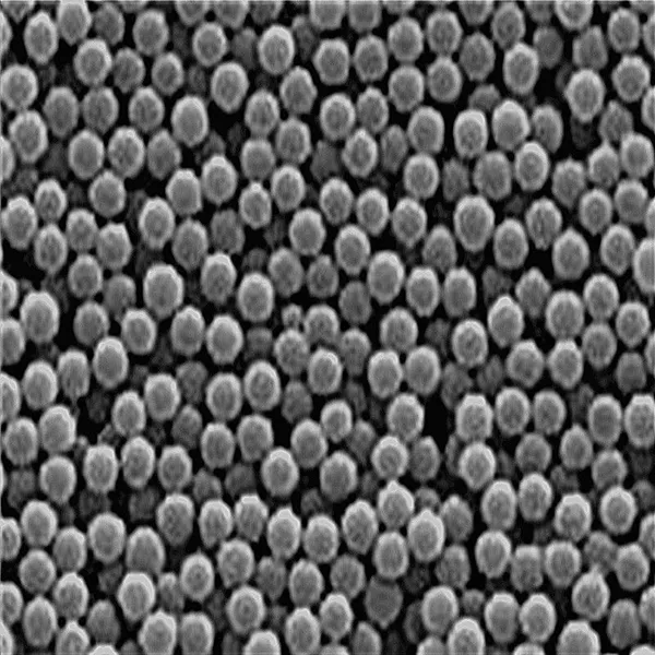 Changxing Organic Silicon Microsphere GP3500 Granular Coating Ink Anti-Scratch Finish Agent Microns Longxing Organic Silicon Microsphere photo-5