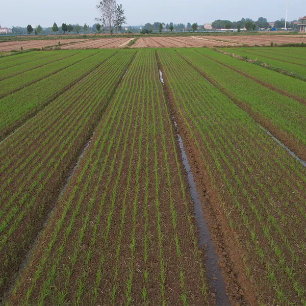 16 Rows 500L Seeding Fertilizing Machine With Fertilizer Box, Rotary Tiller, Disc Harrow and Land Roller photo-2