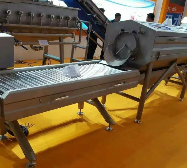 Industrial Vegetables and Fruit Washing Machine Commercial Automatic Bubble Spray Washer Equipment for Food Processing Plant photo-4