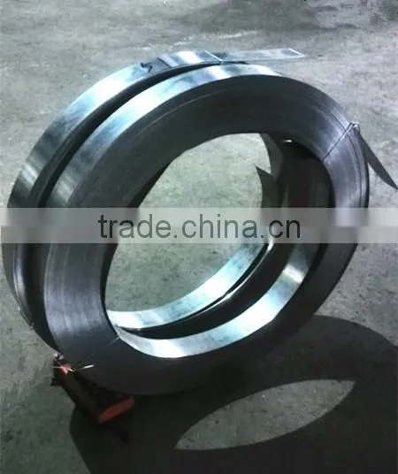 Cr20Ni80 Resistance Nickel Alloy Strip photo-4