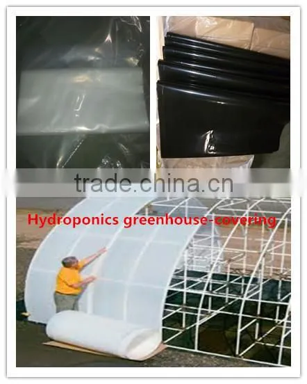 Wholesale Hydrographic Film With High Quality