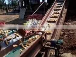 PVC Conveyor Belts photo-2