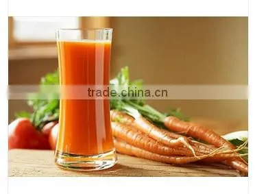 Sale Frozen Carrot photo-4