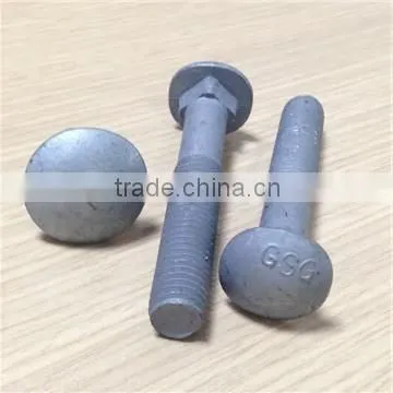 Carriage Bolts Din 603 HDG Color photo-6