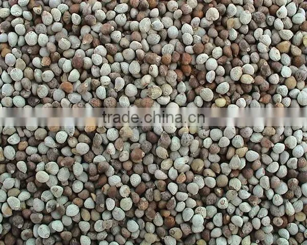 Perillaseeds,bird Feed