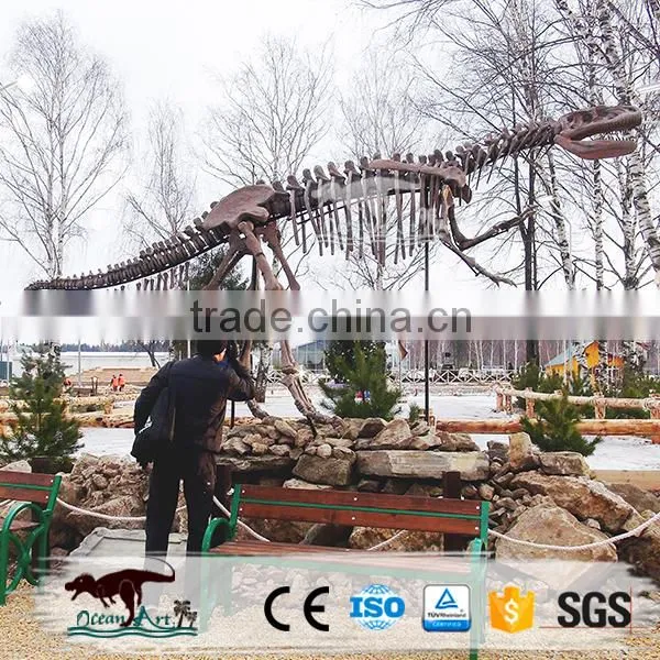 OA4016 High Quality Life Size Dinosaur Skeleton Model