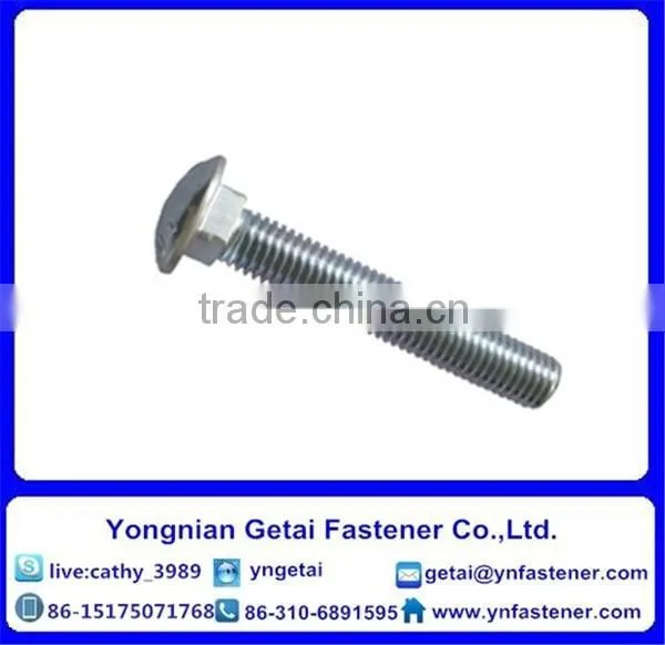 Stainless Steel 304 Carriage Bolt Din603 photo-3
