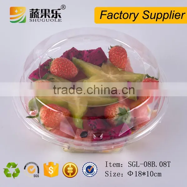 Disposable Plastic Transparent Deli Container Clear Food Grade Salad Box photo-2