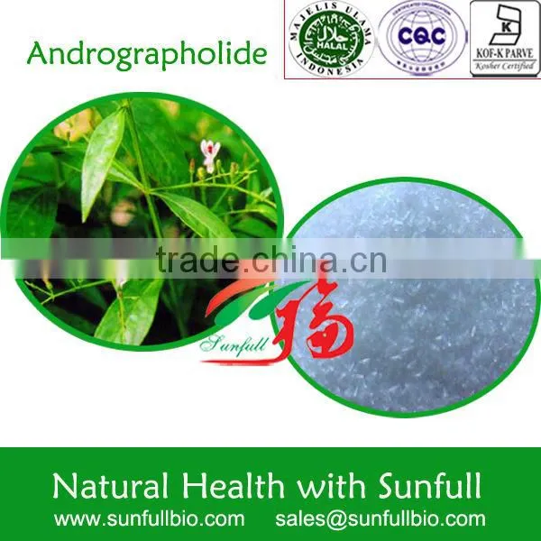 Natural Andrographis Paniculate Extract