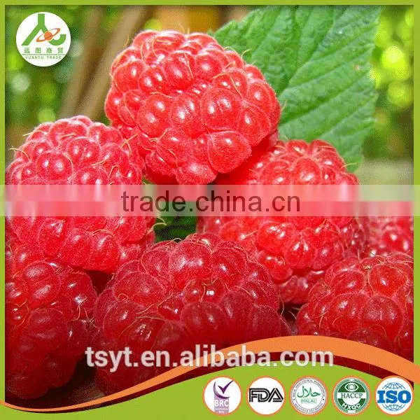 2016 Common and Organic Season Frozen Iqf Raspberry photo-4