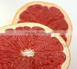 Natural Water Soluble Yuzu Powder /Yuzu Extract Powder/Yuzu Extract photo-3