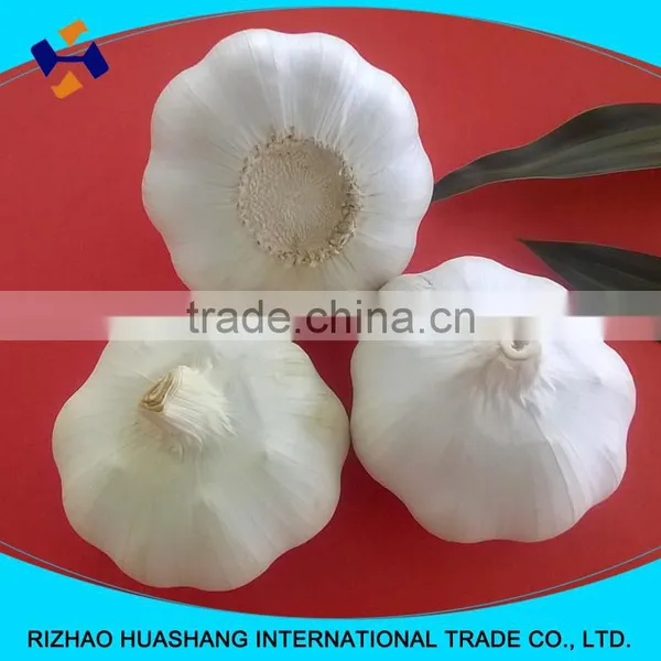 Pure White Fresh Garlic Size5.5cm