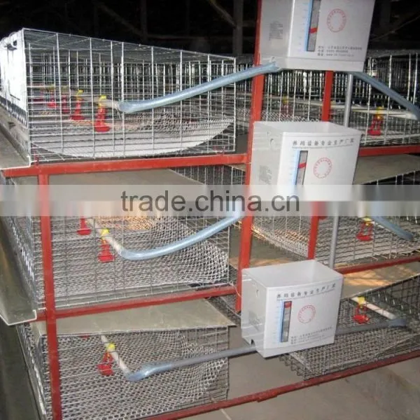 Automatic Chicken Layer Cage/Poultry Farm House/quail Cage photo-3